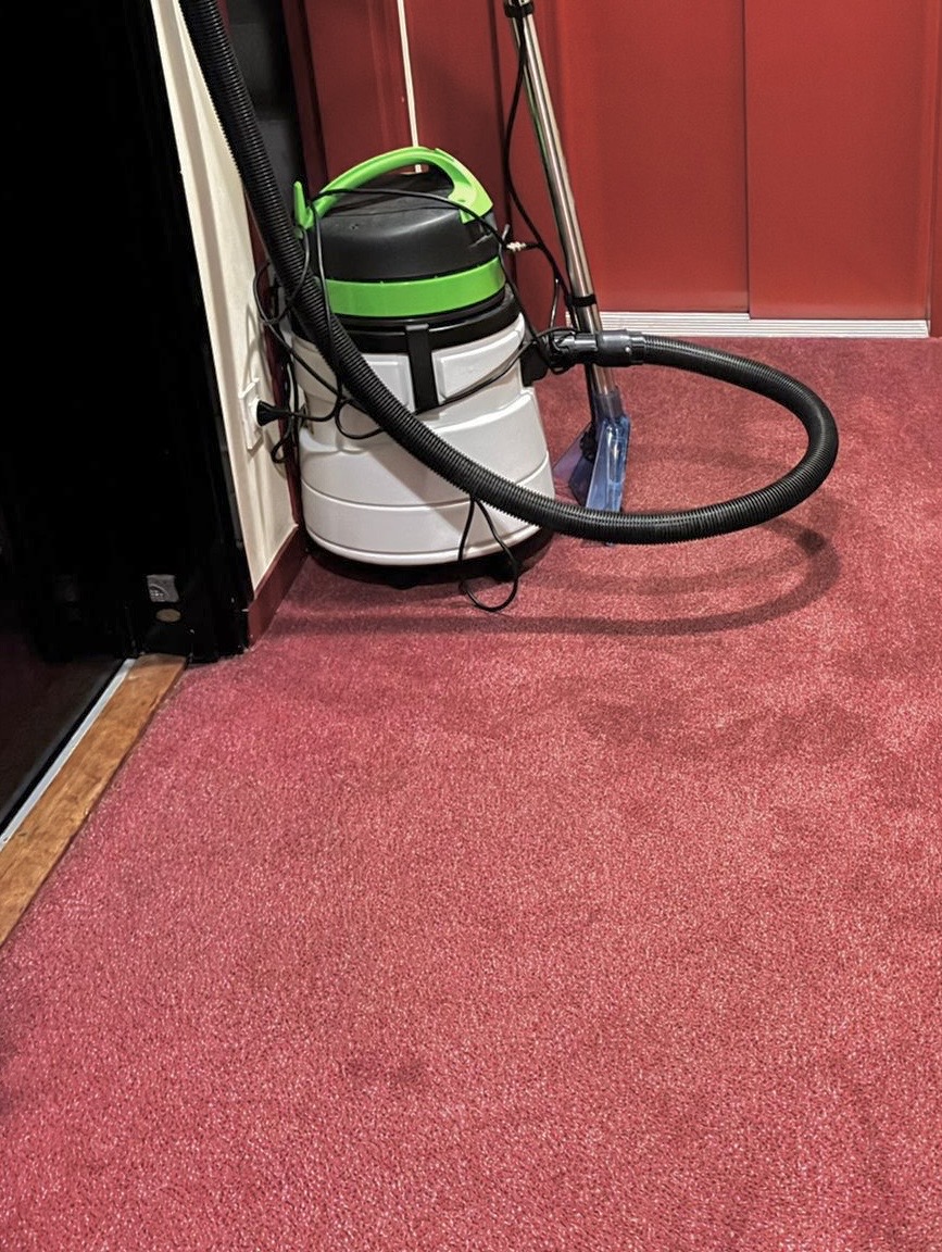 Moquette remise en état après le passage de Nett Plus.